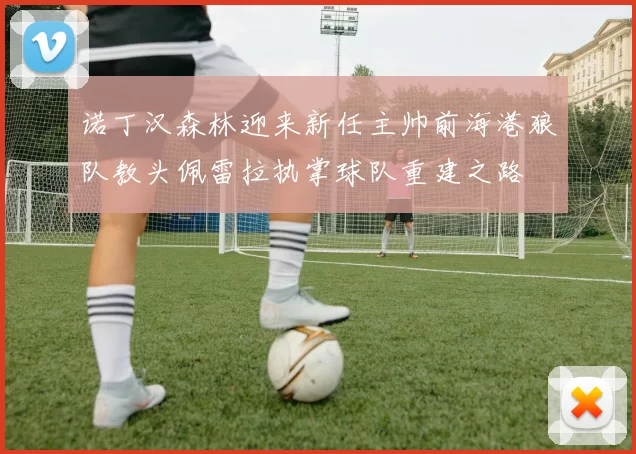 诺丁汉森林迎来新任主帅前海港狼队教头佩雷拉执掌球队重建之路